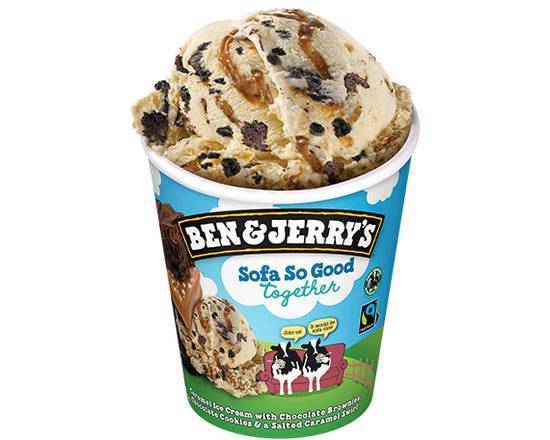 Ben & Jerry's Sofa So Good Together 458ml