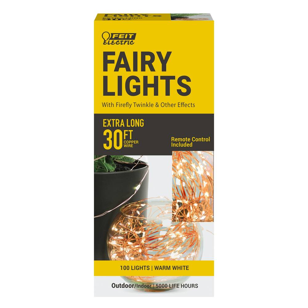 Feit Electric Copper Wire Warm White Fairy String Light, 30 Ft