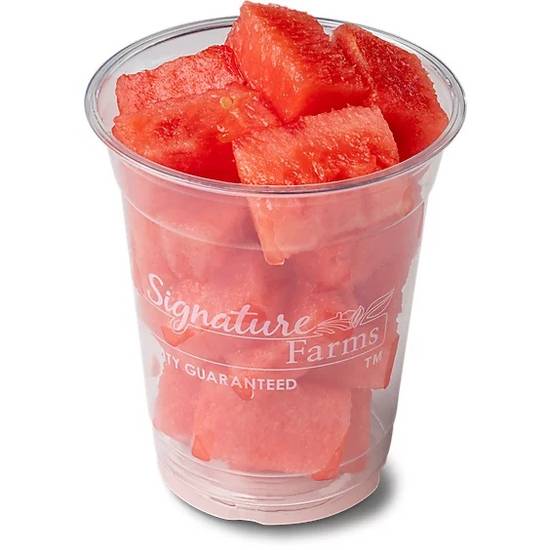 Watermelon Cup (8 oz)