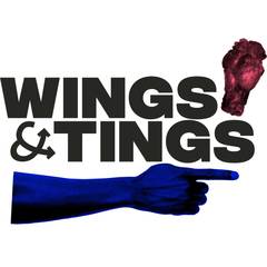 Wings & Tings (Wings, Chicken, Fries) - Fleet