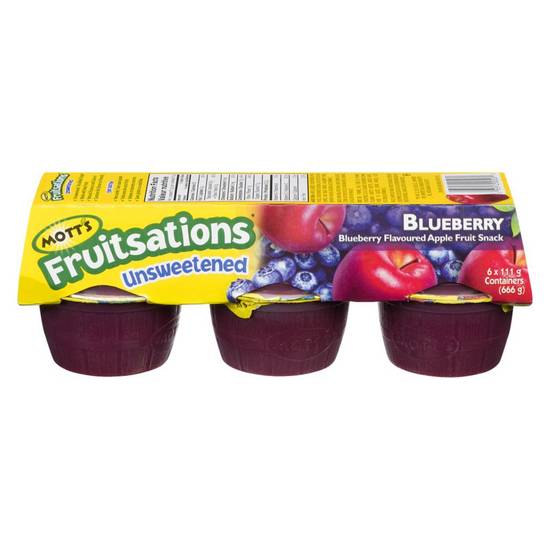 Mott's Fruitsations Unsweetened Blueberry Apple Snack (6 x 111 g)