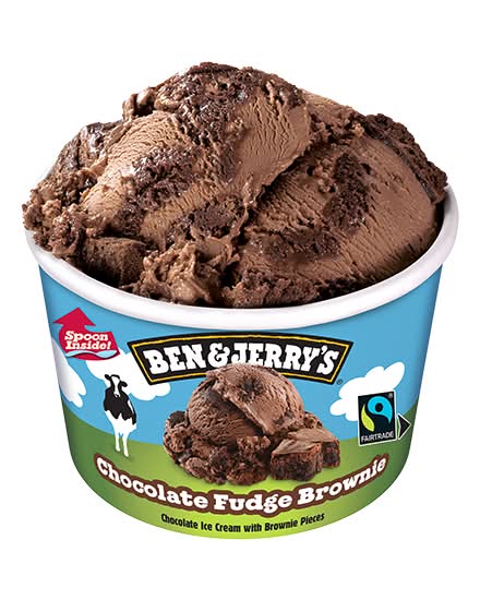 Ben & Jerry's Chocolate Fudge Brownie Ice Cream 100ml