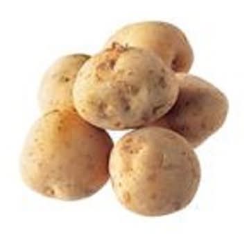 北海道等の国内産 Ｕじゃがいも １袋