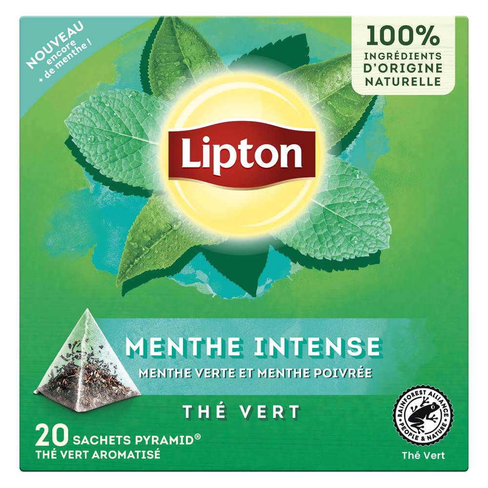 Lipton - Thé vert intense, menthe (20)