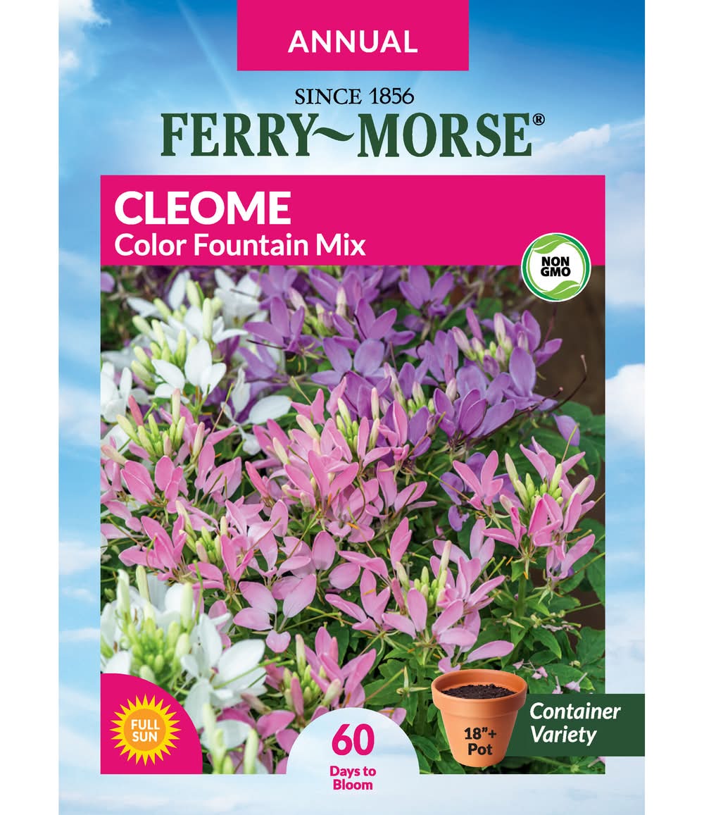 Ferry-Morse Cleome Seeds 320 Milligram(s)
