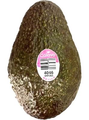 アボカド１玉/メキシコ他