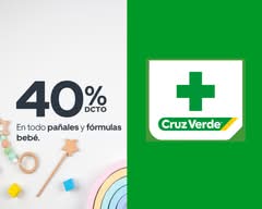 Farmacias Cruz Verde (426 - Terminal de Buses Sur)
