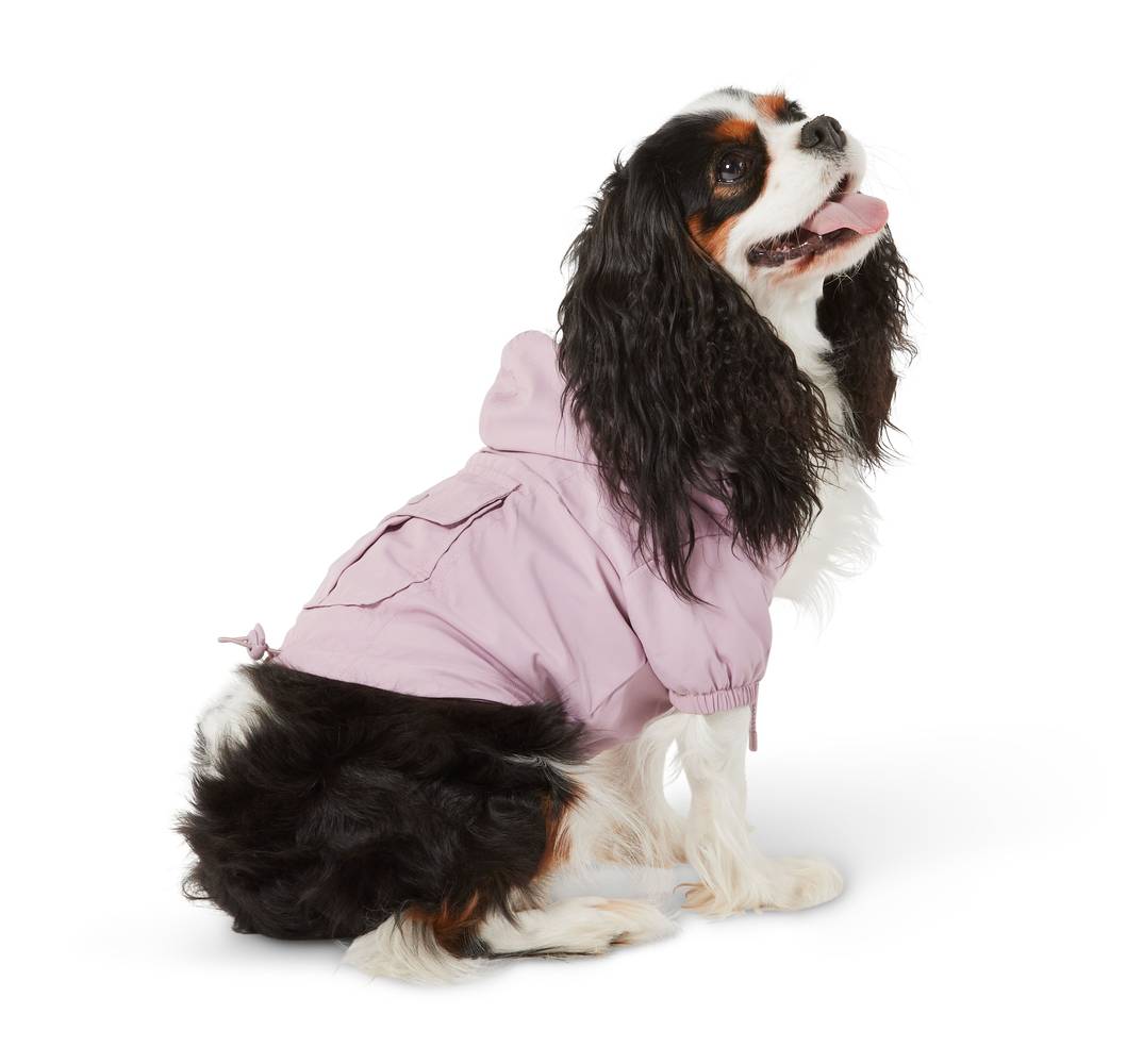 Top Paw® Dog Windbreaker (Color: Purple, Size: Small)