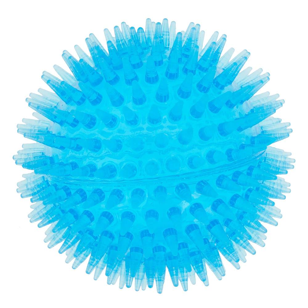 Top Paw Spiky Ball Dog Toy (3 inch/blue)