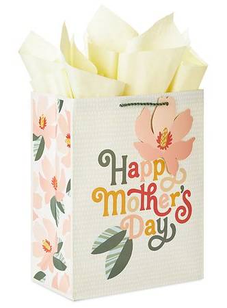 Hallmark Mother's Day Gift Bag With Tissue Papers, XL