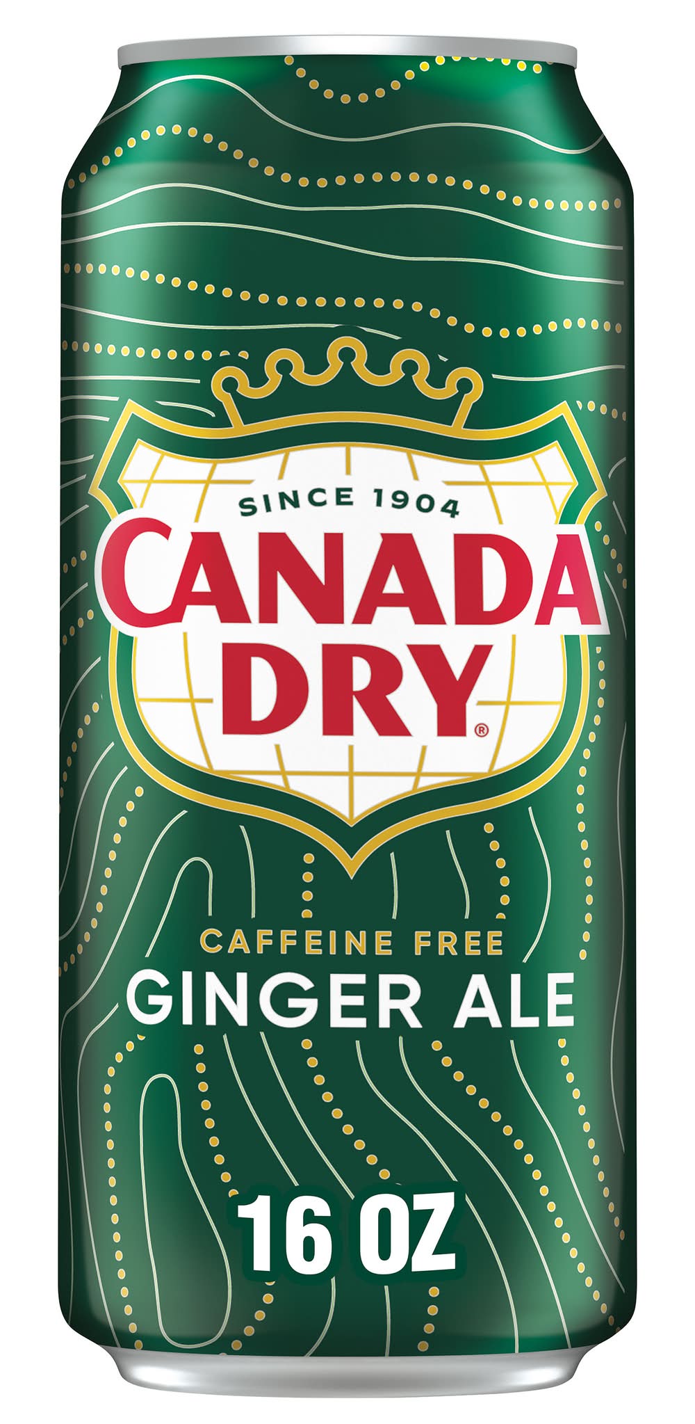 Canada Dry Ginger Ale (16 fl oz)