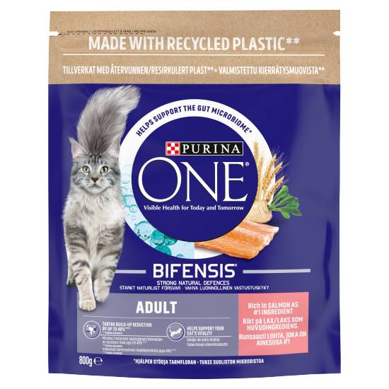 Purina One Adult Dry Cat Food Salmon and Wholegrain 800g