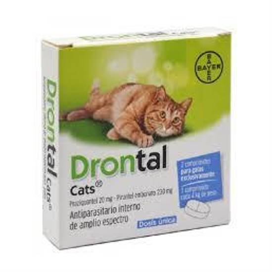 Drontal gatos caja x 2 tab