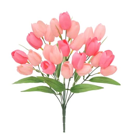 14" Tulip Bush By Ashland