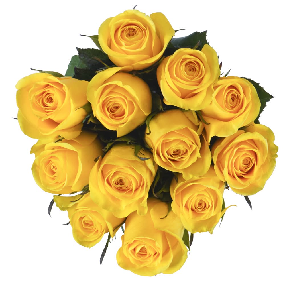 Bloom Haus Bouquet With Yellow Roses (12 ct)