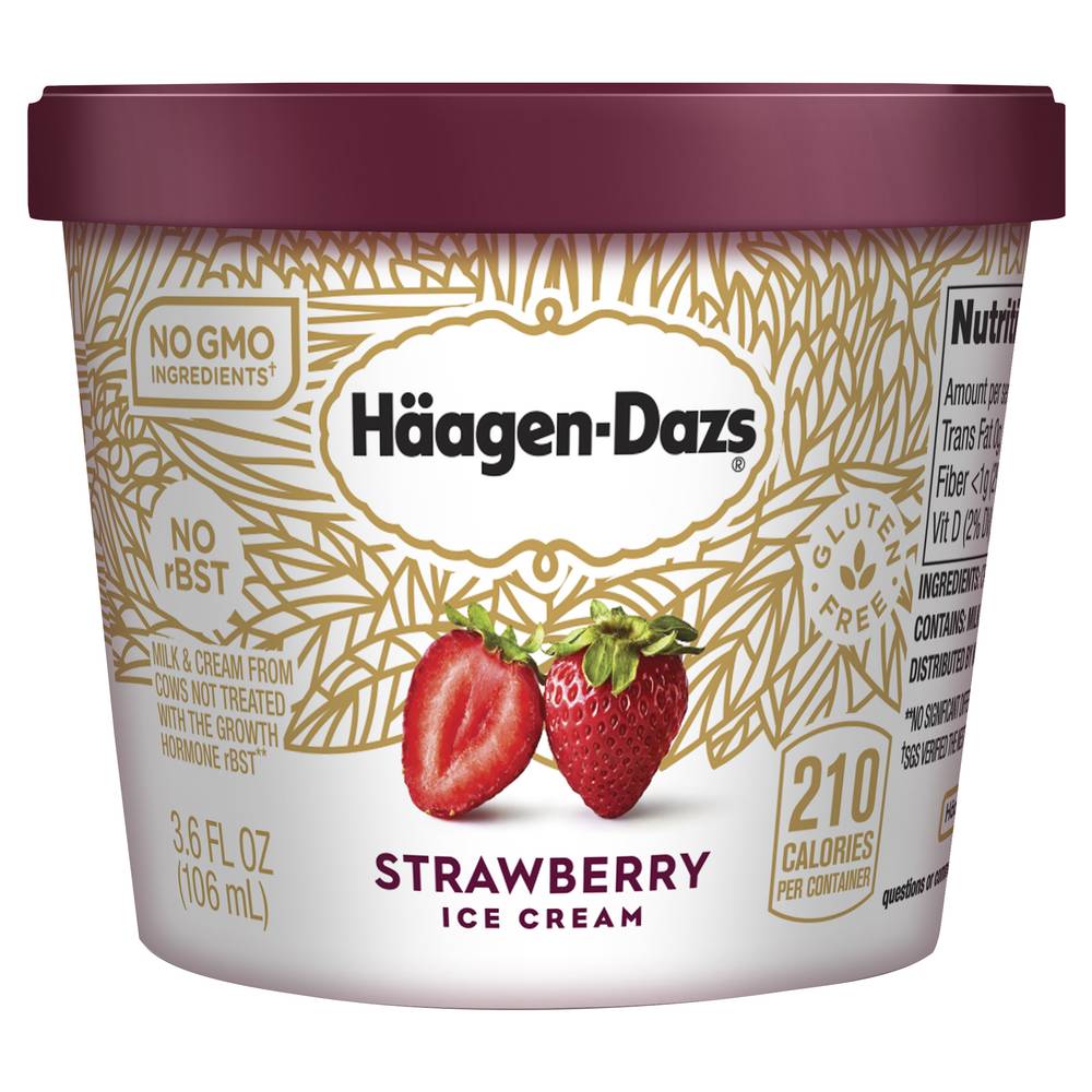 Häagen-Dazs Strawberry Ice Cream