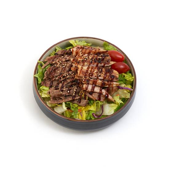 Chicken & Beef Teriyaki Salad
