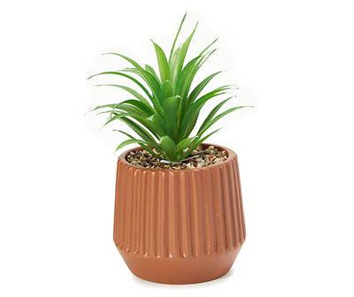 Artificial Succulent in Terra-Cotta Cement Pot, Terra-Cotta