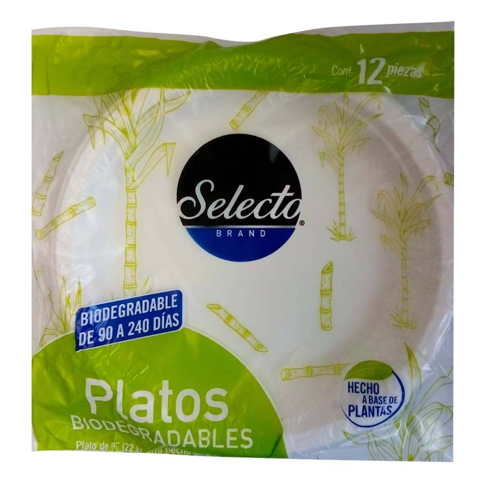 Selecto · Platos biodegradables 9"