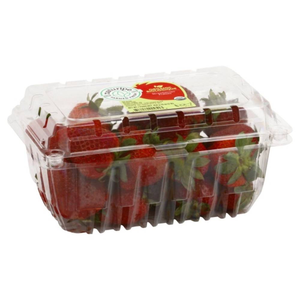 Organic Strawberries 16 Oz