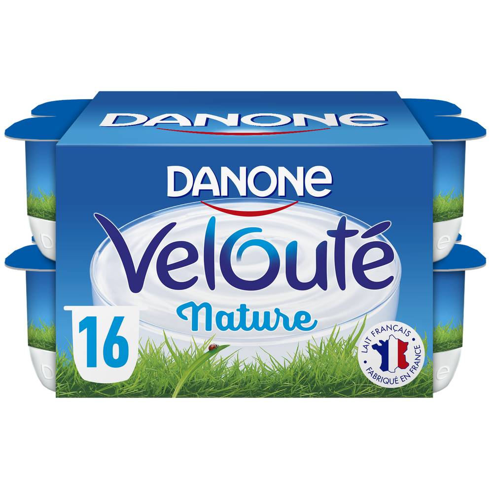 Danone - Danone yaourt brassé, 16 pcs (2kg)