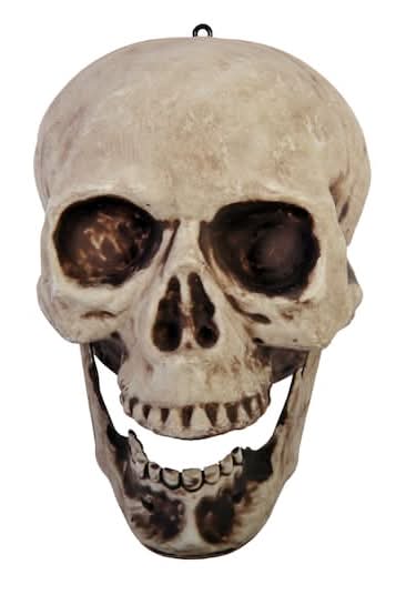 8" Articulated Jaw Skull Tabletop Decor By Ashland