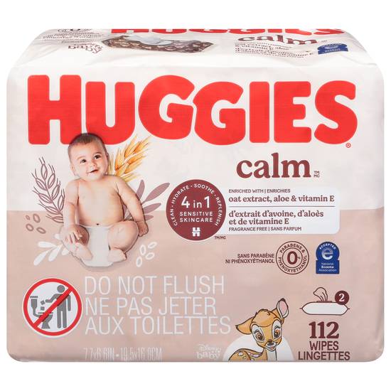 Huggies Baby Wipes (2 ct)