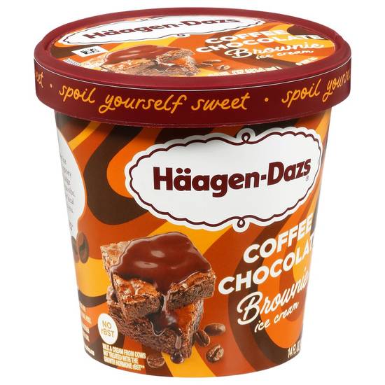 Haagen-Dazs Ice Cream Coffee Chocolate Brownie (14 oz)