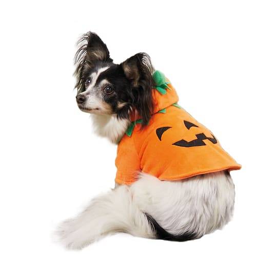 Assorted Halloween Pumpkin Dog Costume, 1Pc. By Ashland