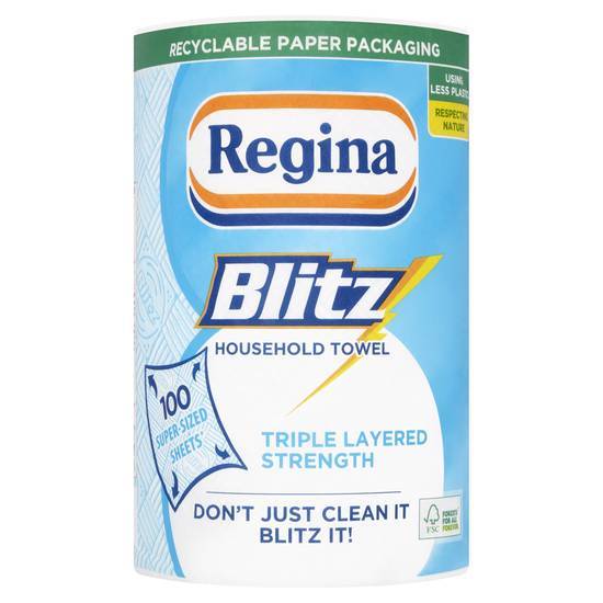 Regina Kitchen Towel Blitz  1 Roll