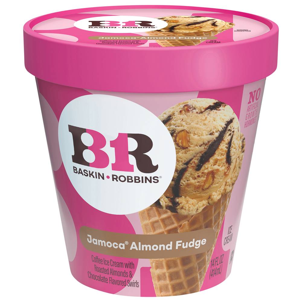 Baskin-Robbins Jamoca Almond Fudge Ice Cream (14 fl oz)