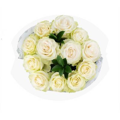 Dozen Fresh Cut Vibrant White Roses