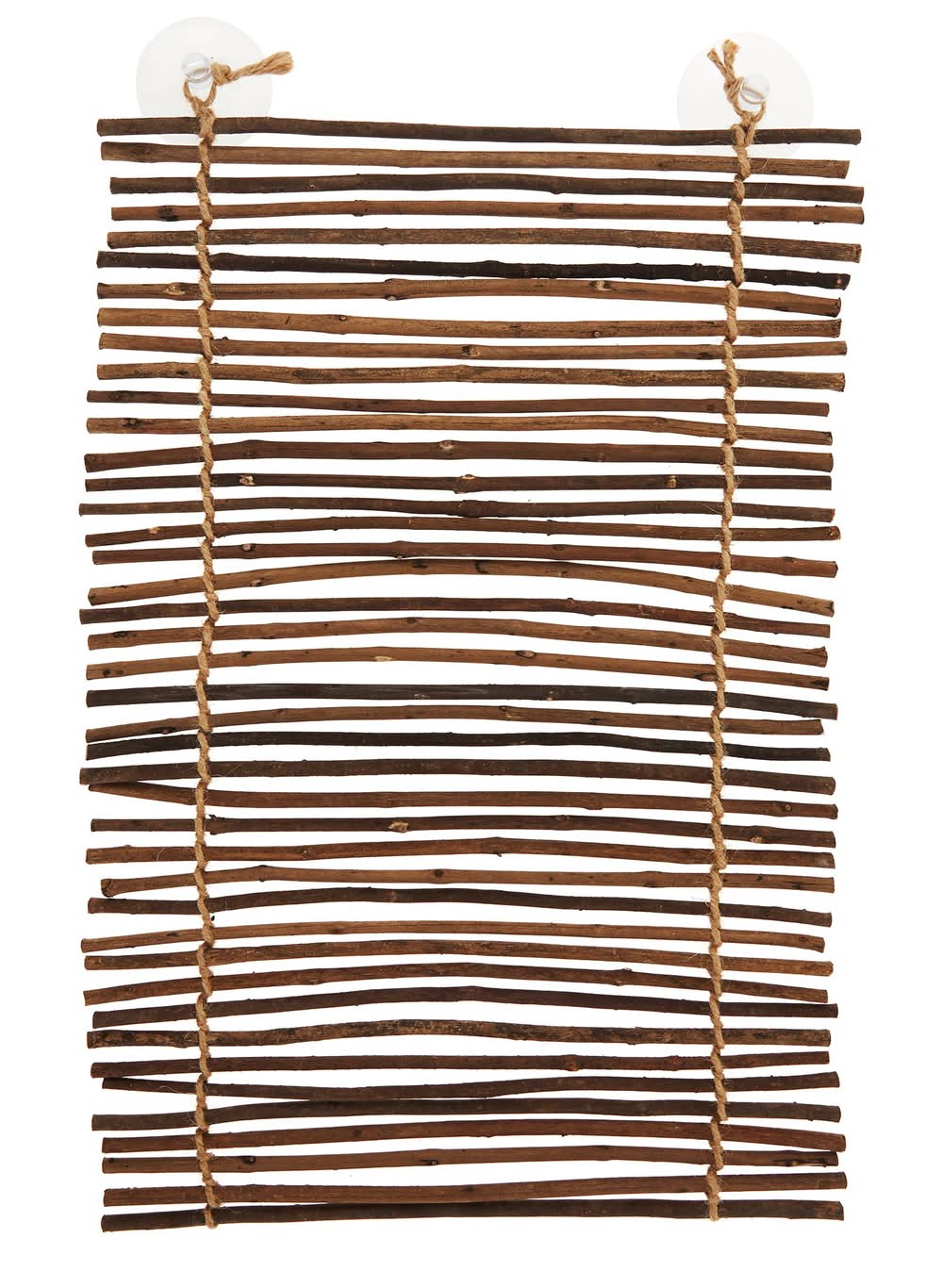 Thrive Climbing Reptile Branch Ladder