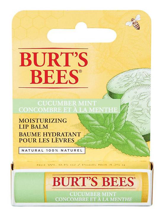 Burt's Bees Cucumber Mint Moisturizing Lip Balm (1 ea)