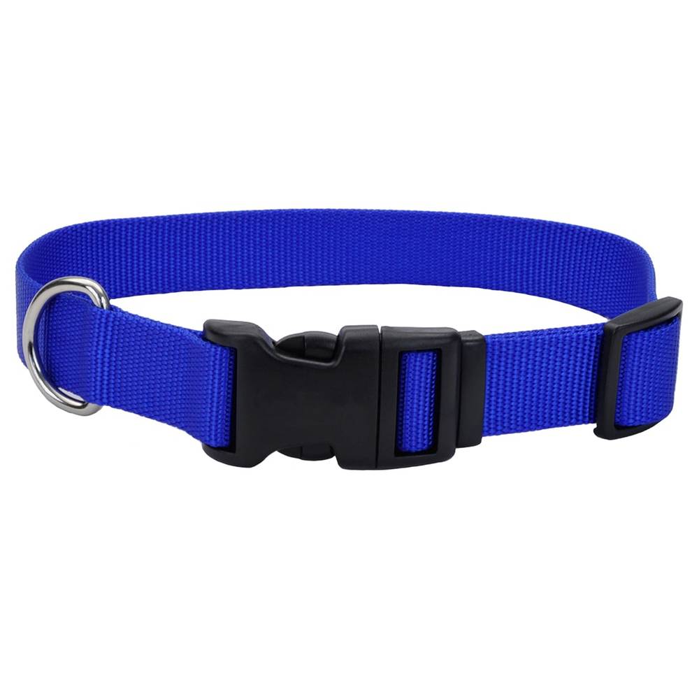 Coastal Pet Products Pet Attire Blue Dog Collar, Medium | 06601  A BLU20