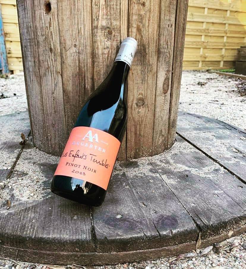 PINOT NOIR ENFANTS TERRIBLES