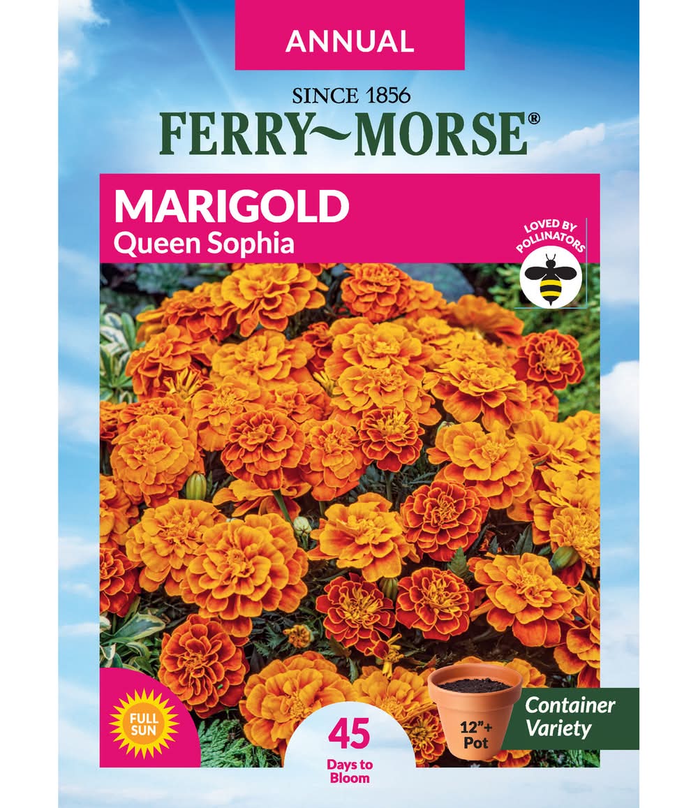 Ferry-Morse Marigold Seeds 300 Milligram(s)