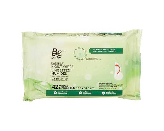 BE BETTER PERSONAL CLEANSING CLOTHS REFILL 42