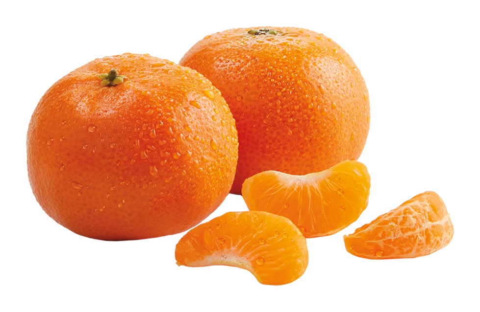 Mandarins, Bag