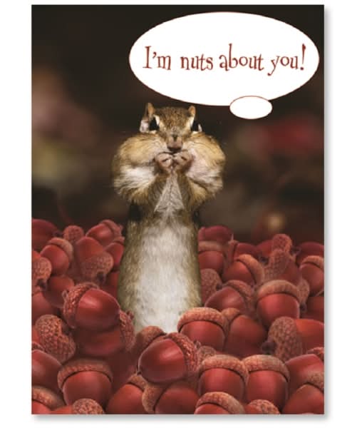 Viabella Love Greeting Card, Nuts, 5" x 7", Multicolor
