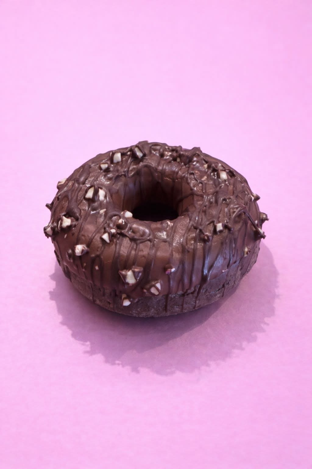Le Tout Chocolat 🍩