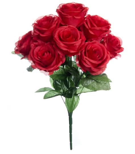 Ashland Red Rose Bush, 15.5 In