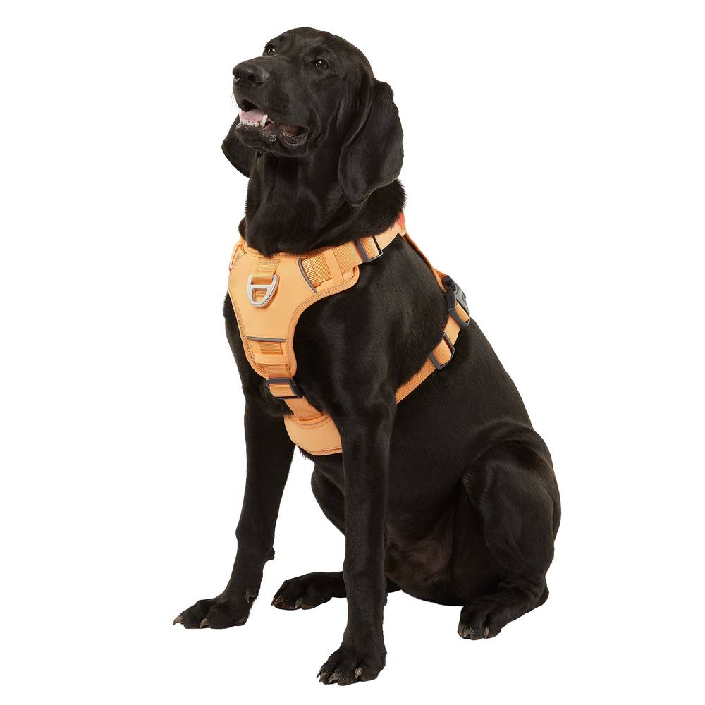 Arcadia Trail ™ Quick-Dry Dog Harness (Color: Orange, Size: X Large)
