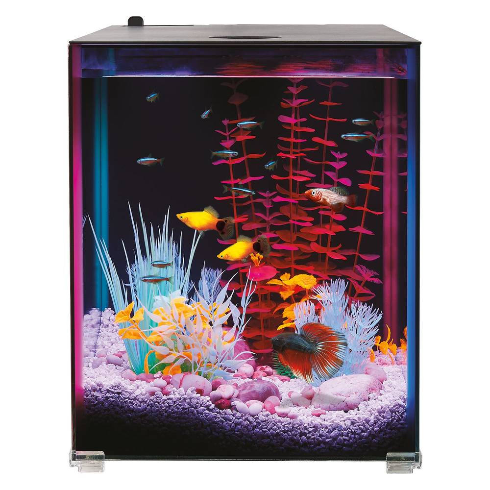 Top Fin® Custom Colorflow™ Aquarium with 7 Color-Changing LEDs (Size: 8 Gal)