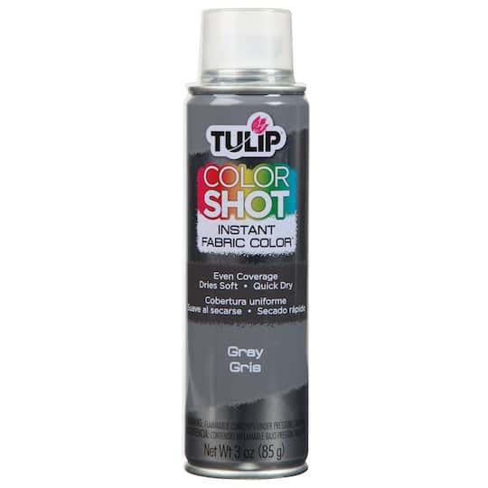 Tulip Colorshot Instant Fabric Color, Gray (3 oz)