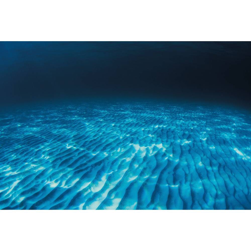 Top Fin® Rippled Sand & Ocean Floor Reversible Aquarium Background (Size: 48\"L X 24\"H)