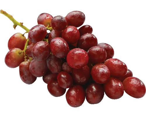 Gum Drops Grapes