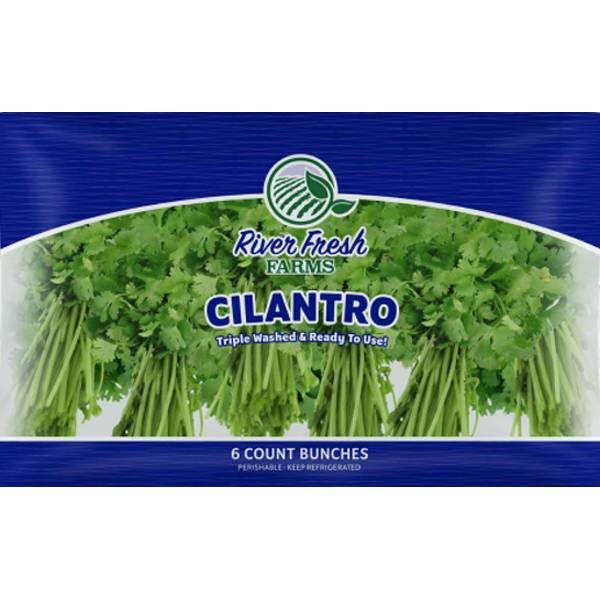 River Fresh Farms Cilantro Bunch