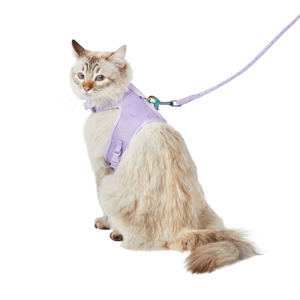 Whisker City® Purple Moons Cat Leash & Harness Combo (Color: Purple, Size: Cat (Adult))