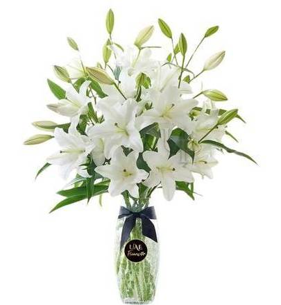 Lilies Forever 6 Stem Lilies In a Vase With Fillers